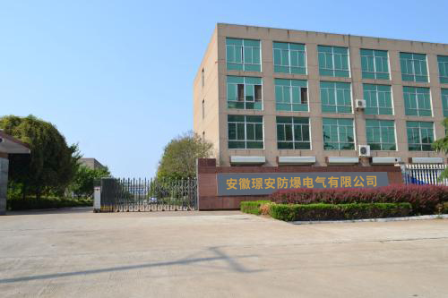 Hanchuan Plant